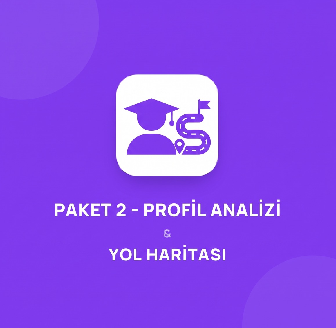 PAKET 2 - Profil Analizi & Yol Haritası